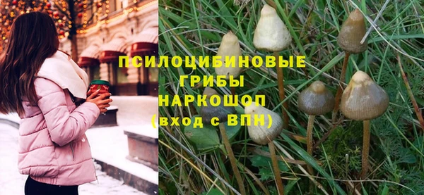 прущие грибы Дмитриев