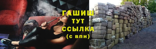 прущие грибы Дмитриев