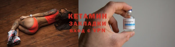 прущие грибы Дмитриев