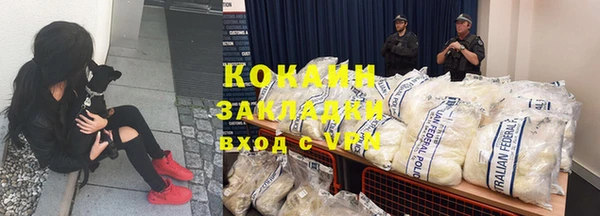 прущие грибы Дмитриев