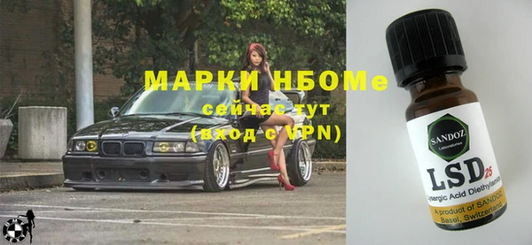прущие грибы Дмитриев