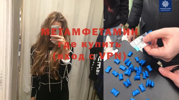 прущие грибы Дмитриев