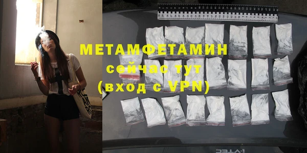 прущие грибы Дмитриев