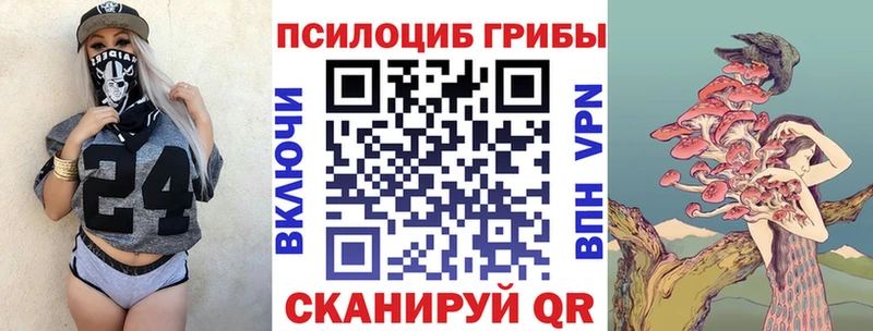 Псилоцибиновые грибы мухоморы  hydra рабочий сайт  Отрадный 